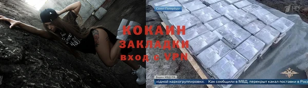 стафф Новокубанск