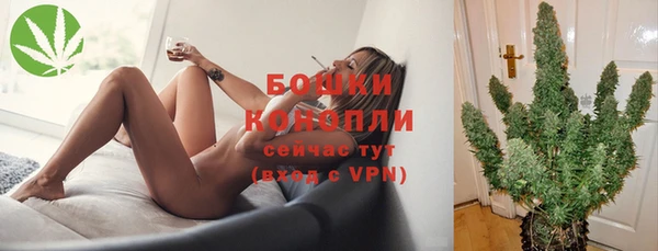 метадон Новозыбков
