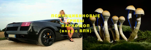 метадон Новозыбков