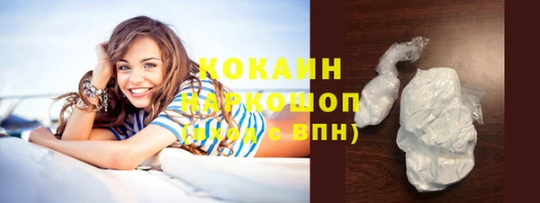 стафф Новокубанск