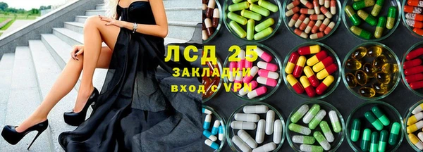 сатива Болотное