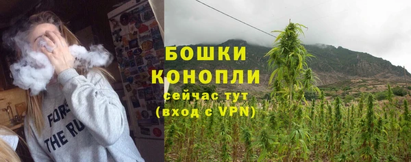 стафф Новокубанск