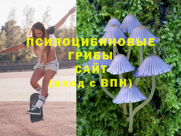 стафф Новокубанск