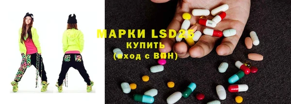 стафф Новокубанск