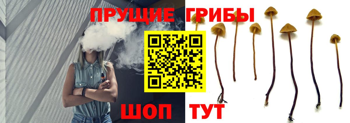 Когалым  Псилоцибиновые грибы MAGIC MUSHROOMS  Вход с VPN 